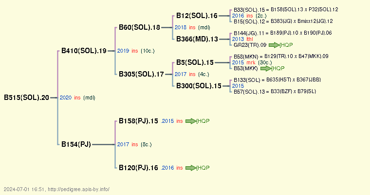 B515(SOL).20