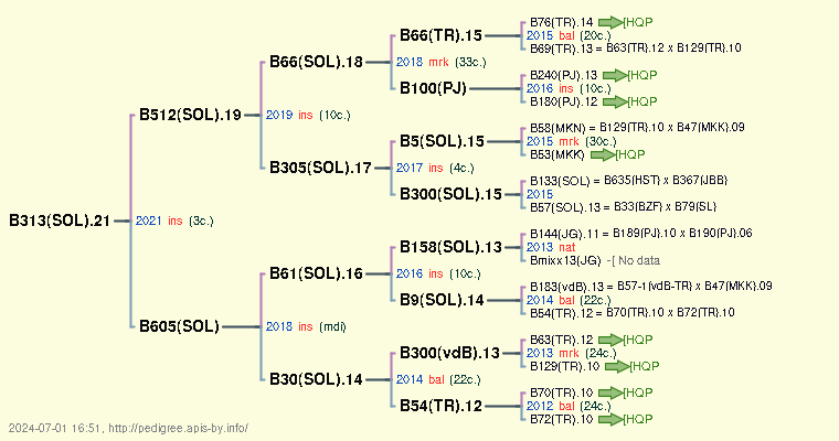 B313(SOL).21