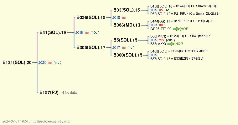 B131(SOL).20