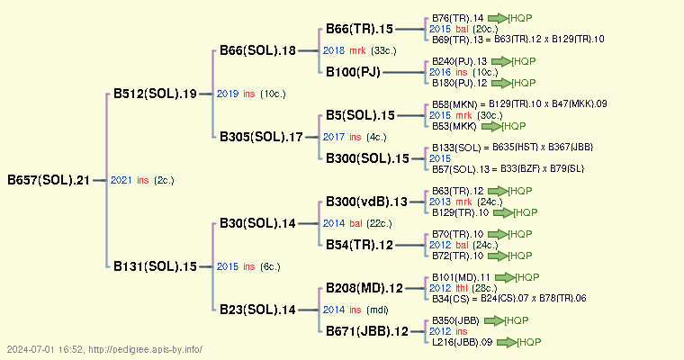 B657(SOL).21