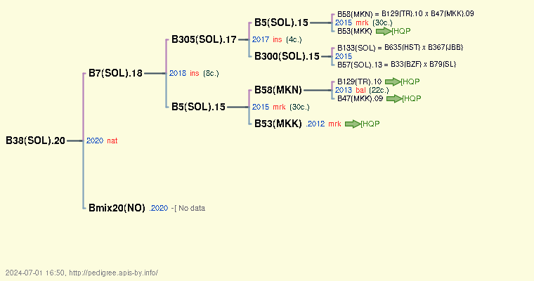 B38(SOL).20