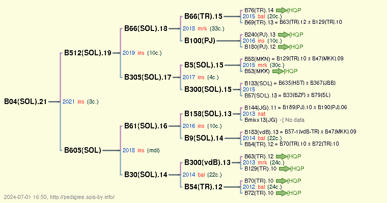 B04(SOL).21