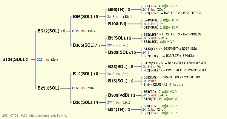 B134(SOL).21