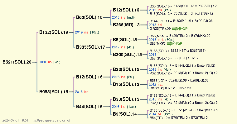 B521(SOL).20