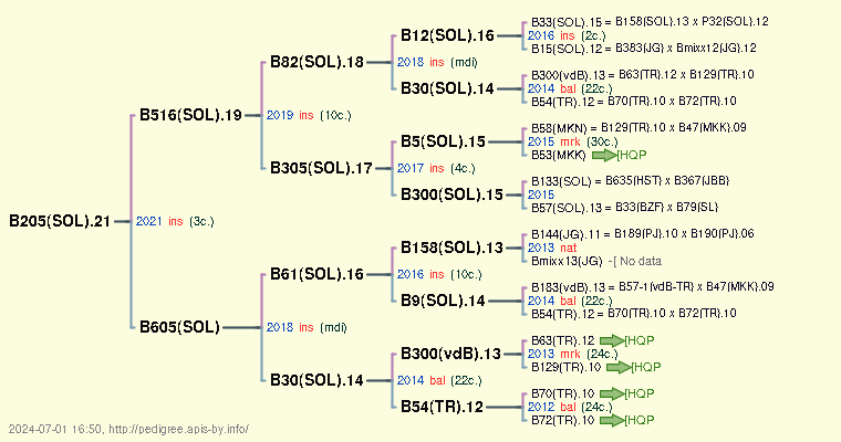 B205(SOL).21