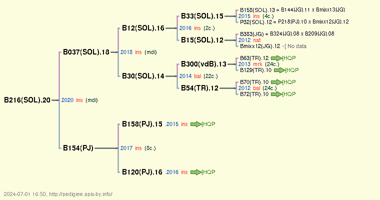 B216(SOL).20