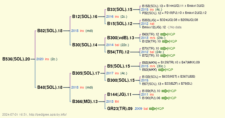 B536(SOL).20