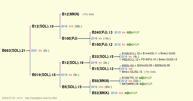 B663(SOL).21