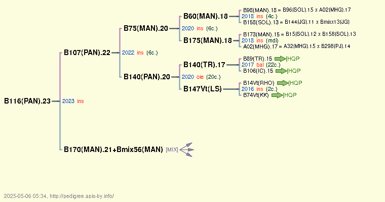 B116(PAN).23 B116(PAN).23