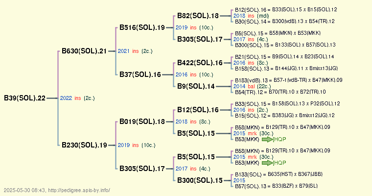 B39(SOL).22 B39(SOL).22