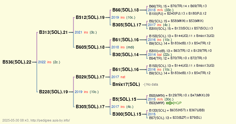 B536(SOL).22 B536(SOL).22
