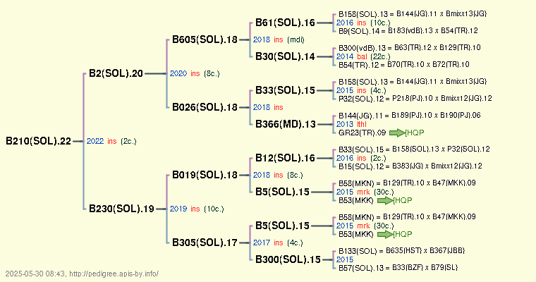 B210(SOL).22 B210(SOL).22