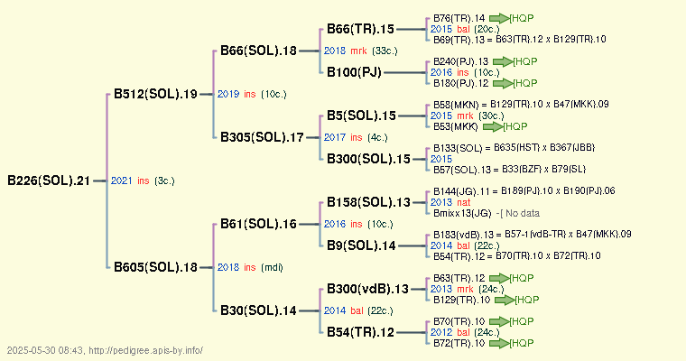 B226(SOL).21 B226(SOL).21