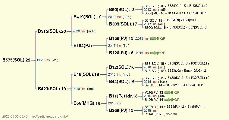 B575(SOL).22 B575(SOL).22