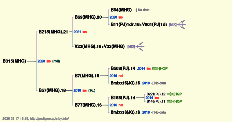 B315(MHG)