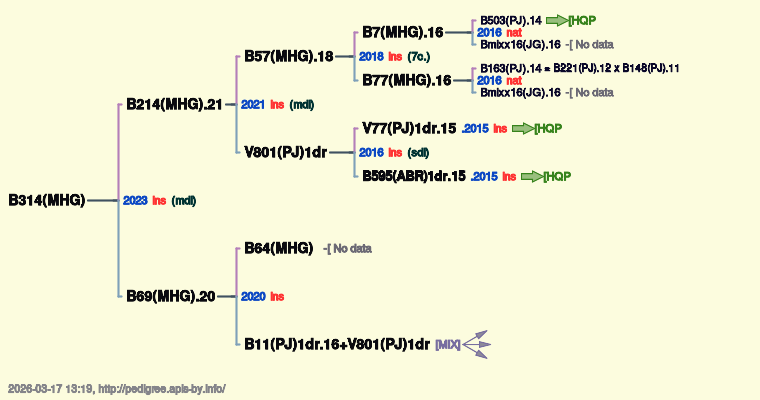 B314(MHG)