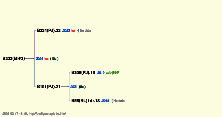B223(MHG)